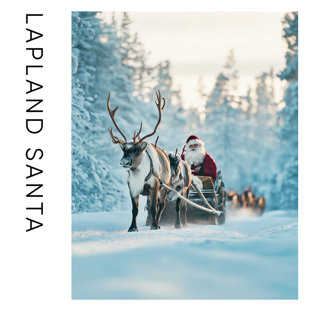 Festive Finds 15