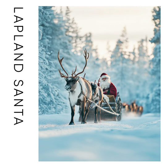 Festive Finds 15